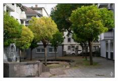 Mainz 2017