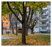 Mainz 2017