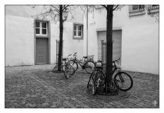 Mainz 2017